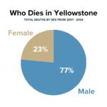 pie chart of Yellowstone deaths by sex from 2007-2024