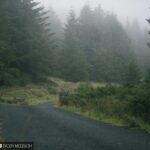 BMW E30 Rally Car in Action, Cornering Hard on a Dirt Road