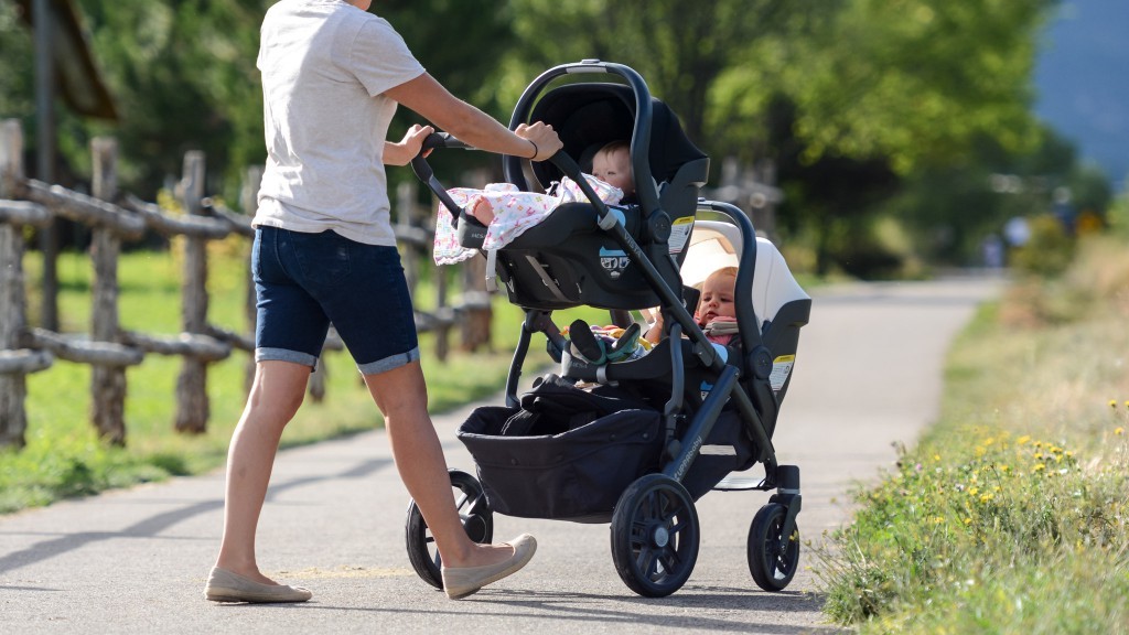 UPPAbaby Vista stroller with infant car seats