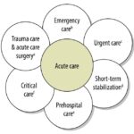 Domains of acute care including emergency medicine, trauma care, and critical care