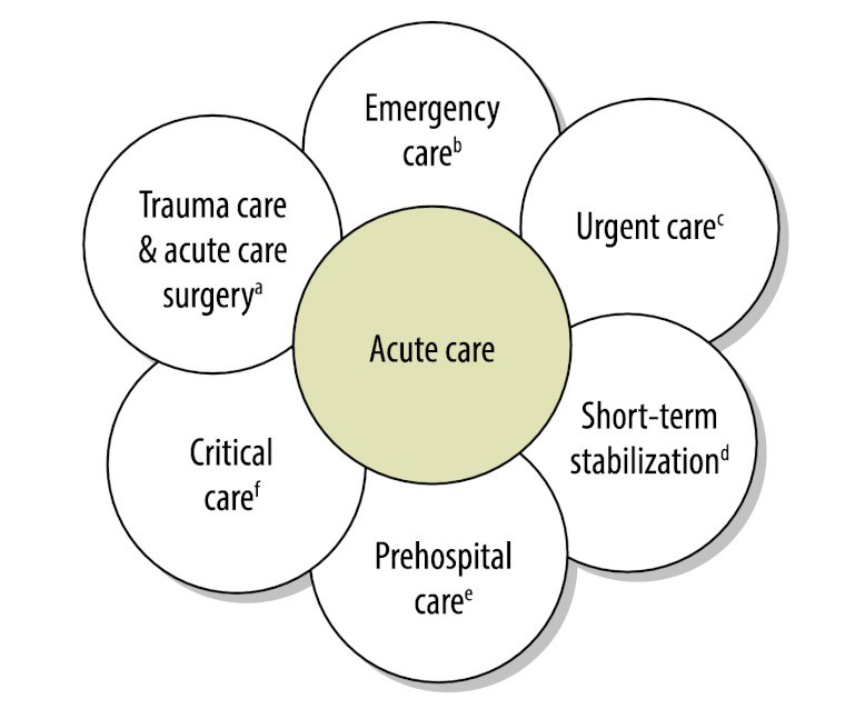 Domains in acute care