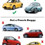 Punch Buggy Field Guide