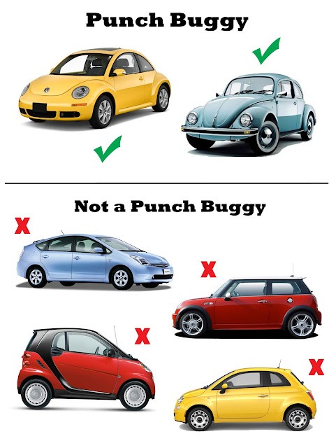 Punch Buggy Field Guide