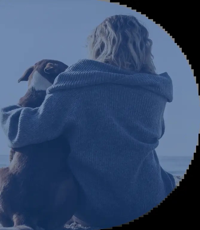 A veterinarian gently petting a dog in a home setting, symbolizing compassionate care for pets at end of life