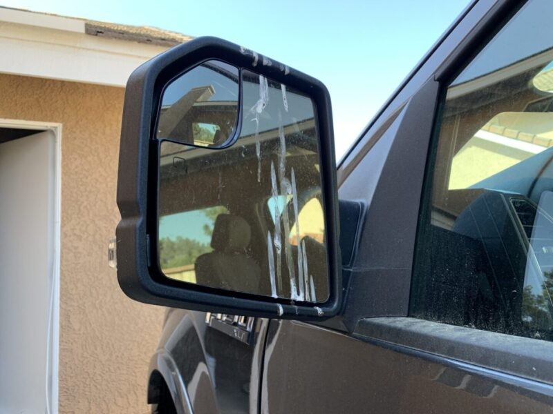 Bird perched on a car mirror, seemingly observing its reflection