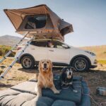 Two happy dogs relaxing on a charcoal gray Backseat Barker SUV dog car bed in the back of an SUV, demonstrating comfortable and safe pet travel.