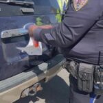 Ghost Car Crackdown: NYC and State Officials Target Vehicles with Forged Plates