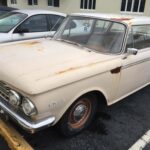 Classic Rambler car parked on a leafy street