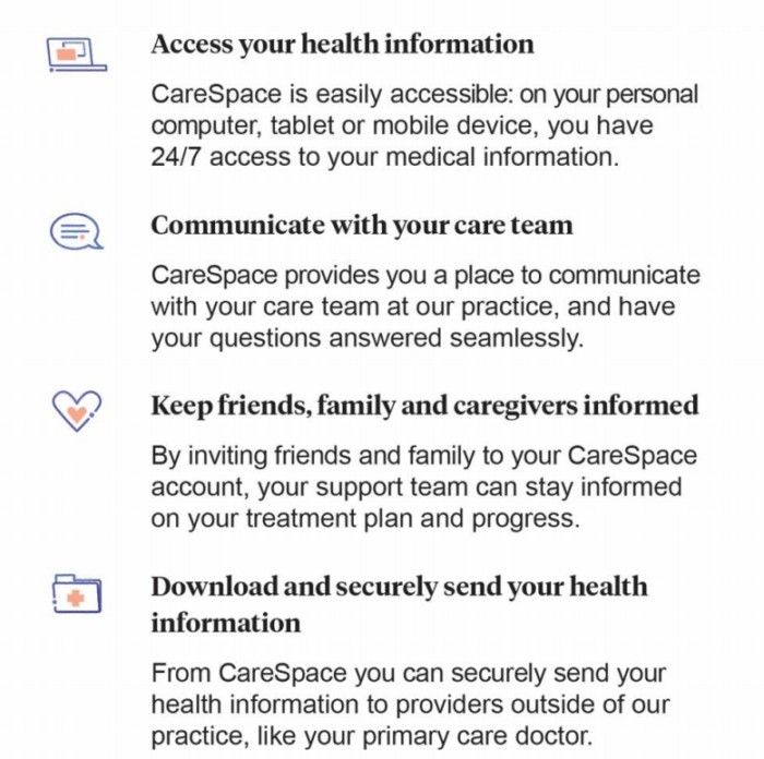 Screenshot of CareSpace Portal Login Page